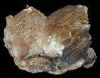 Dogtooth Calcite Crystal Cluster - Morocco #57389-2